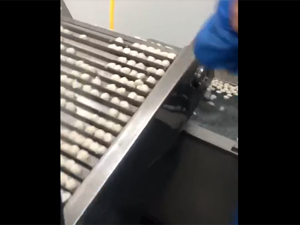 蒸煮線(xiàn)視頻